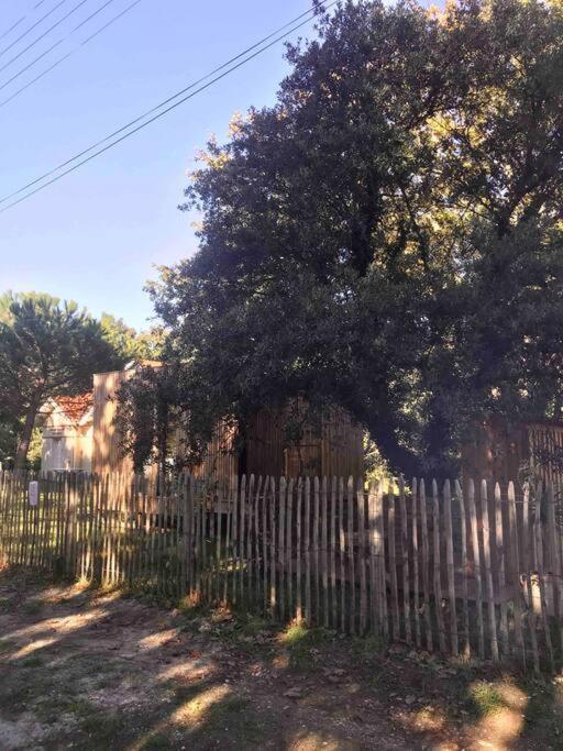 Ma Cabane Sous Les Arbres Soulac-sur-Mer Exteriör bild