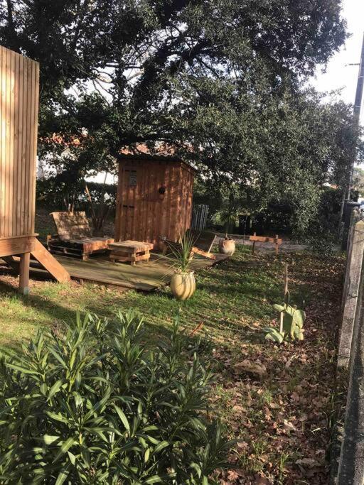 Ma Cabane Sous Les Arbres Soulac-sur-Mer Exteriör bild