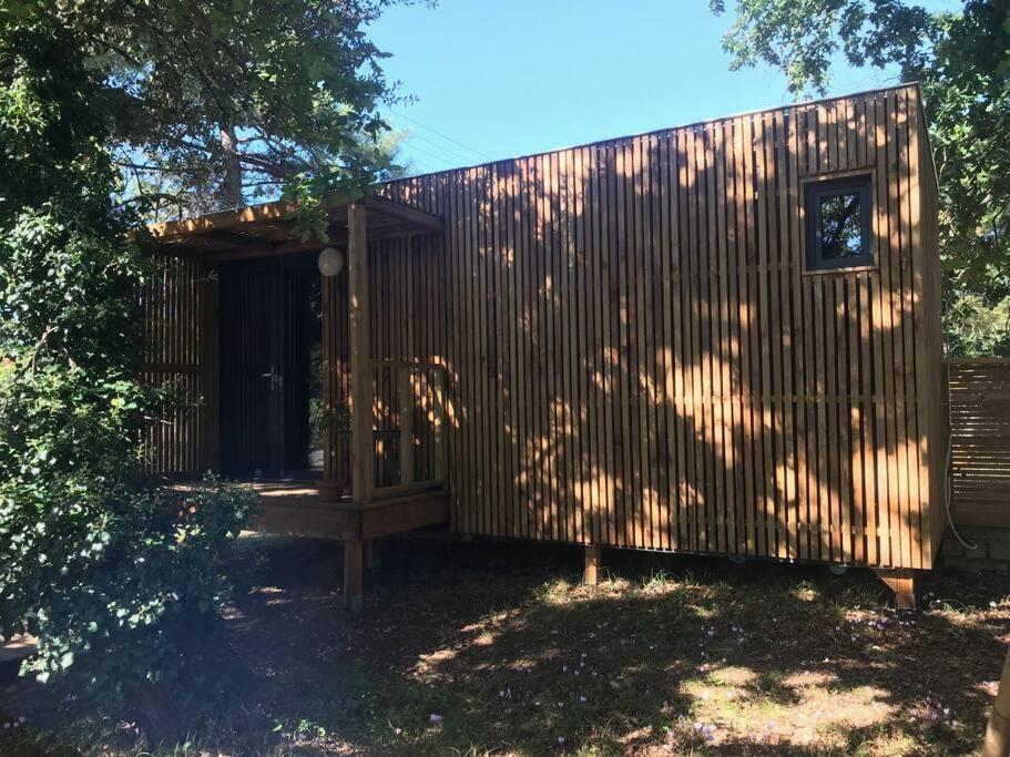Ma Cabane Sous Les Arbres Soulac-sur-Mer Exteriör bild