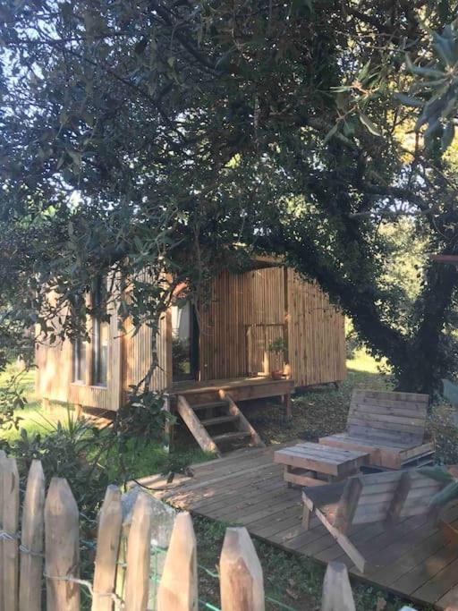 Ma Cabane Sous Les Arbres Soulac-sur-Mer Exteriör bild