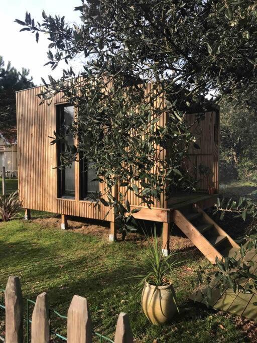 Ma Cabane Sous Les Arbres Soulac-sur-Mer Exteriör bild