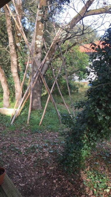 Ma Cabane Sous Les Arbres Soulac-sur-Mer Exteriör bild